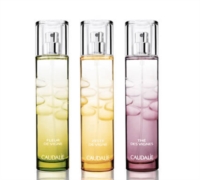 Caudalie Linea Resveratrol Lift Trattamento Occhi Liftante 15 ml
